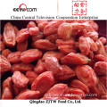 Dried Fruit/Goji Berry